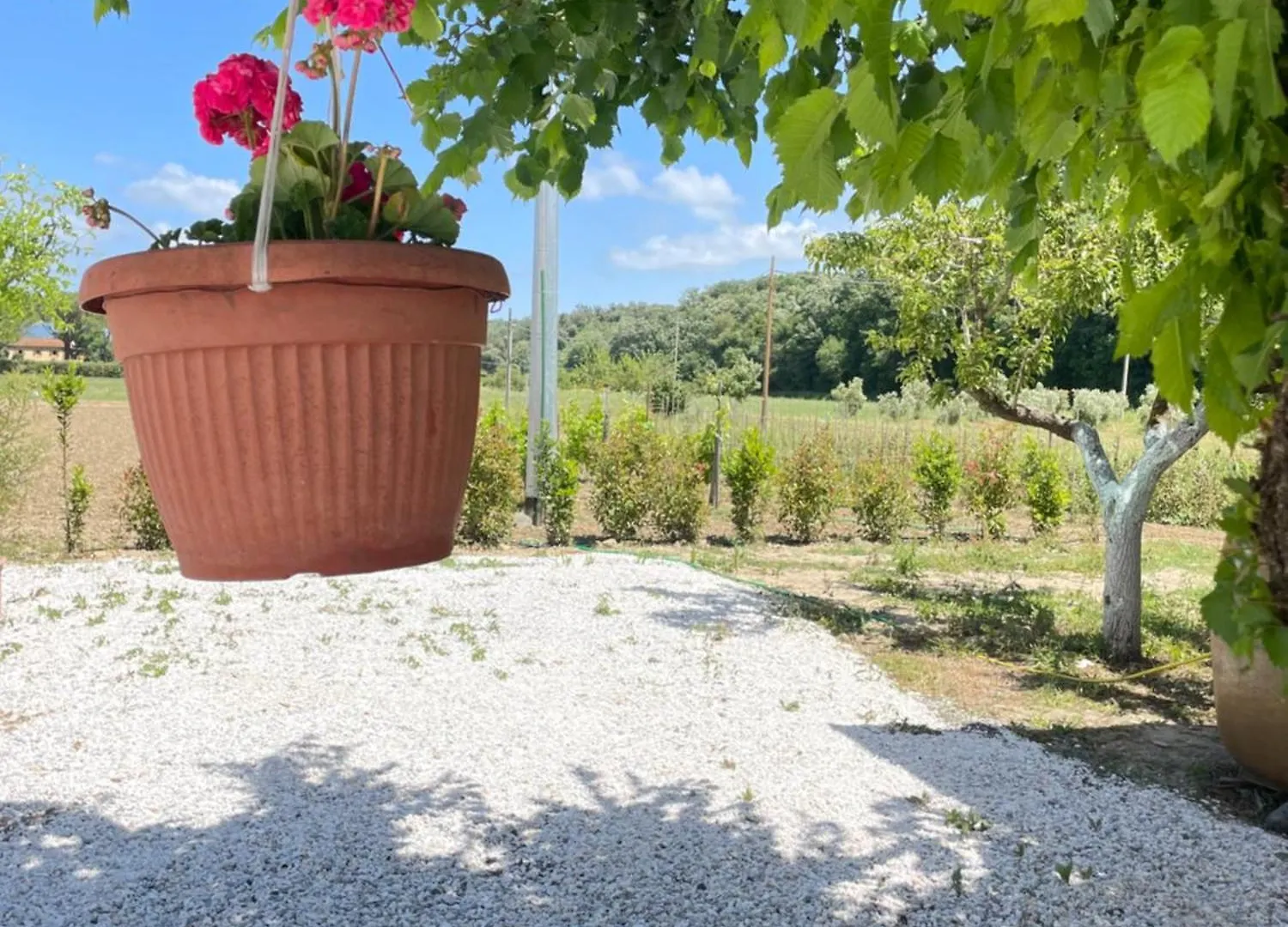 Il Leccio Agriturismo Fiorino Italia