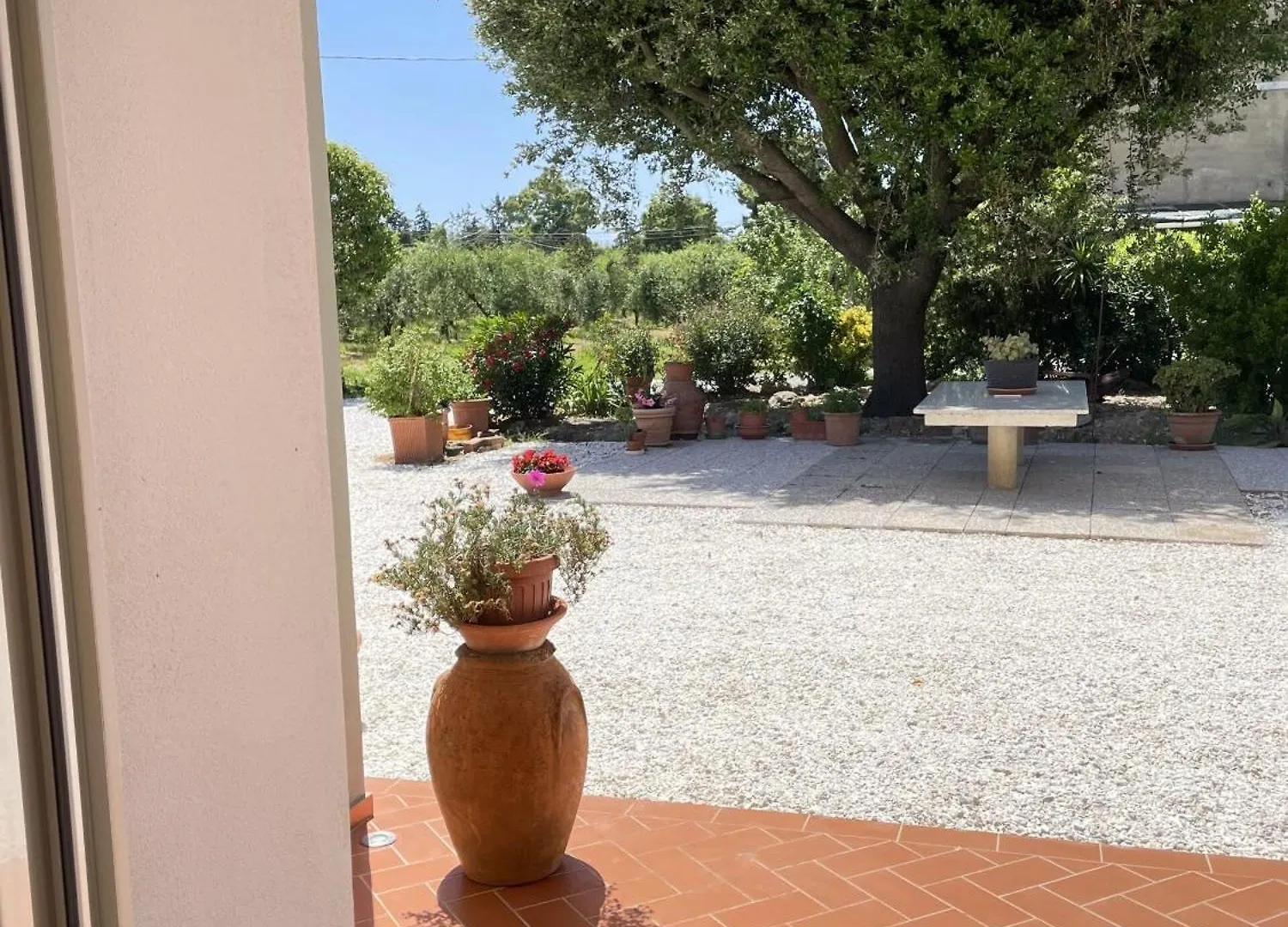 Il Leccio Agriturismo Fiorino