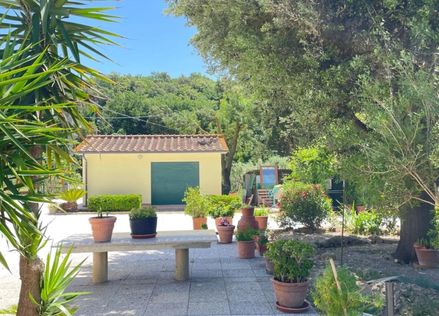 Apartment Il Leccio Agriturismo Fiorino