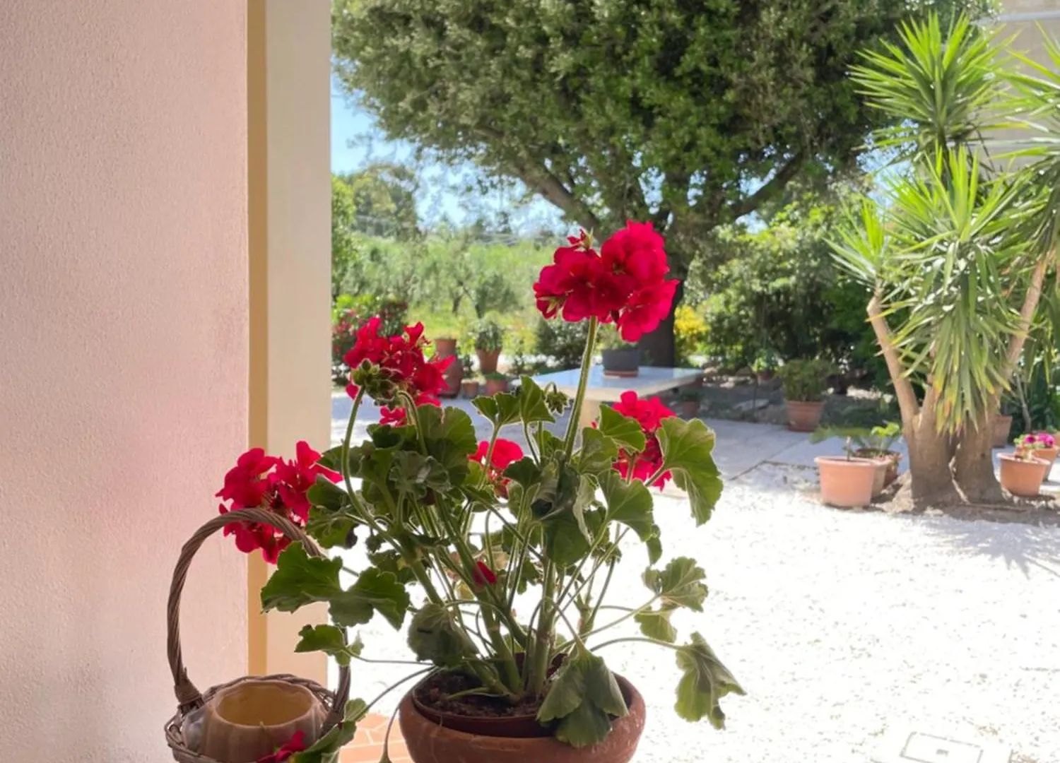 Apartment Il Leccio Agriturismo Fiorino
