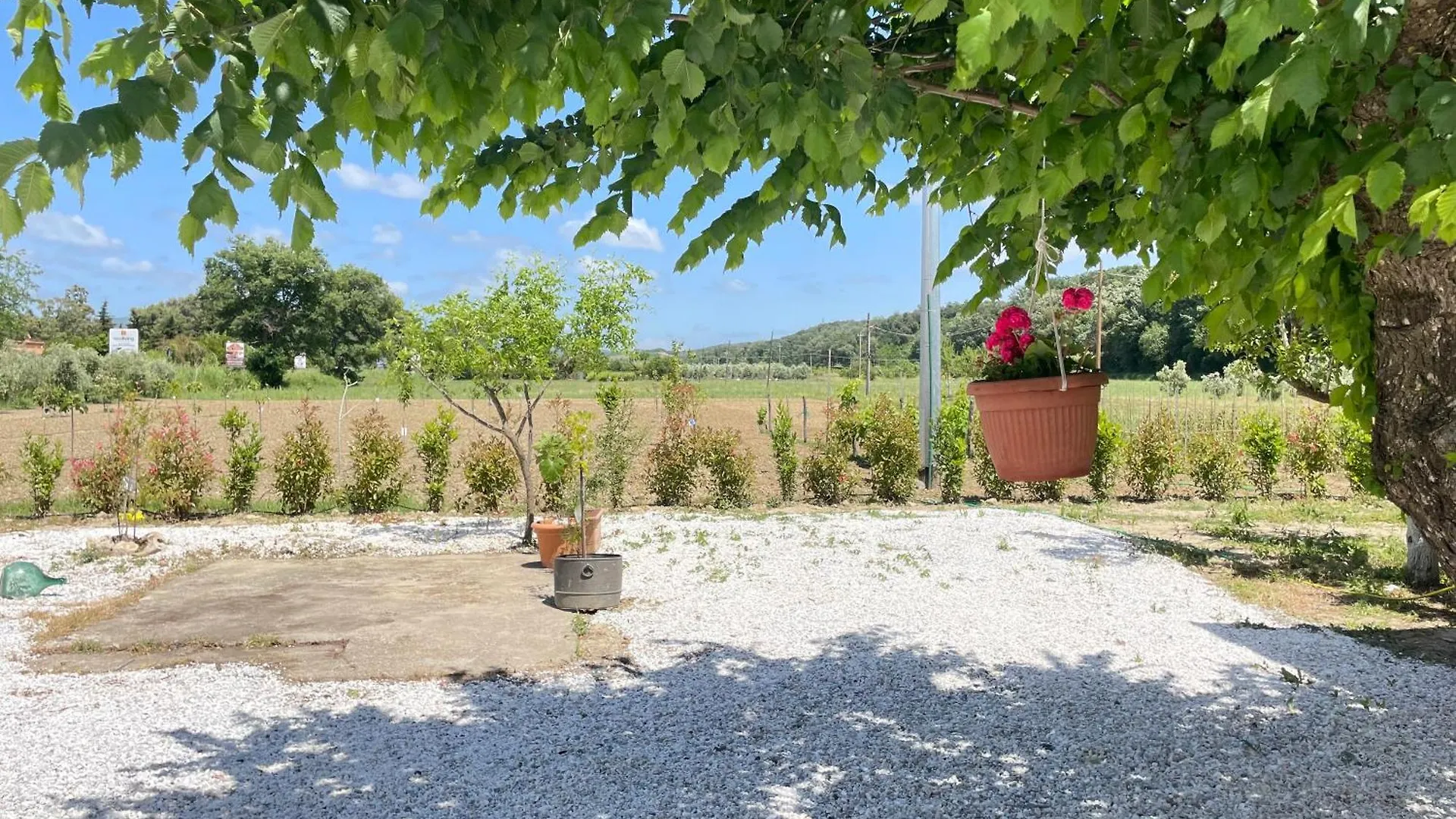 Il Leccio Agriturismo Fiorino 0*,