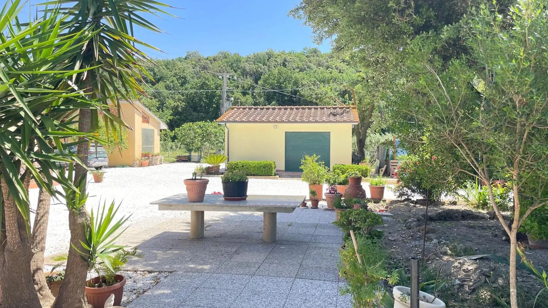 Apartment Il Leccio Agriturismo Fiorino