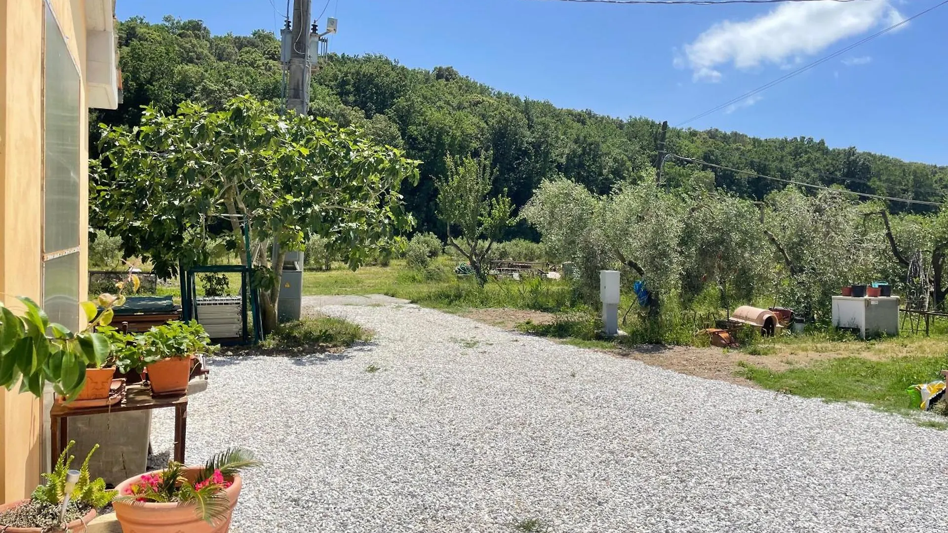 Apartment Il Leccio Agriturismo Fiorino