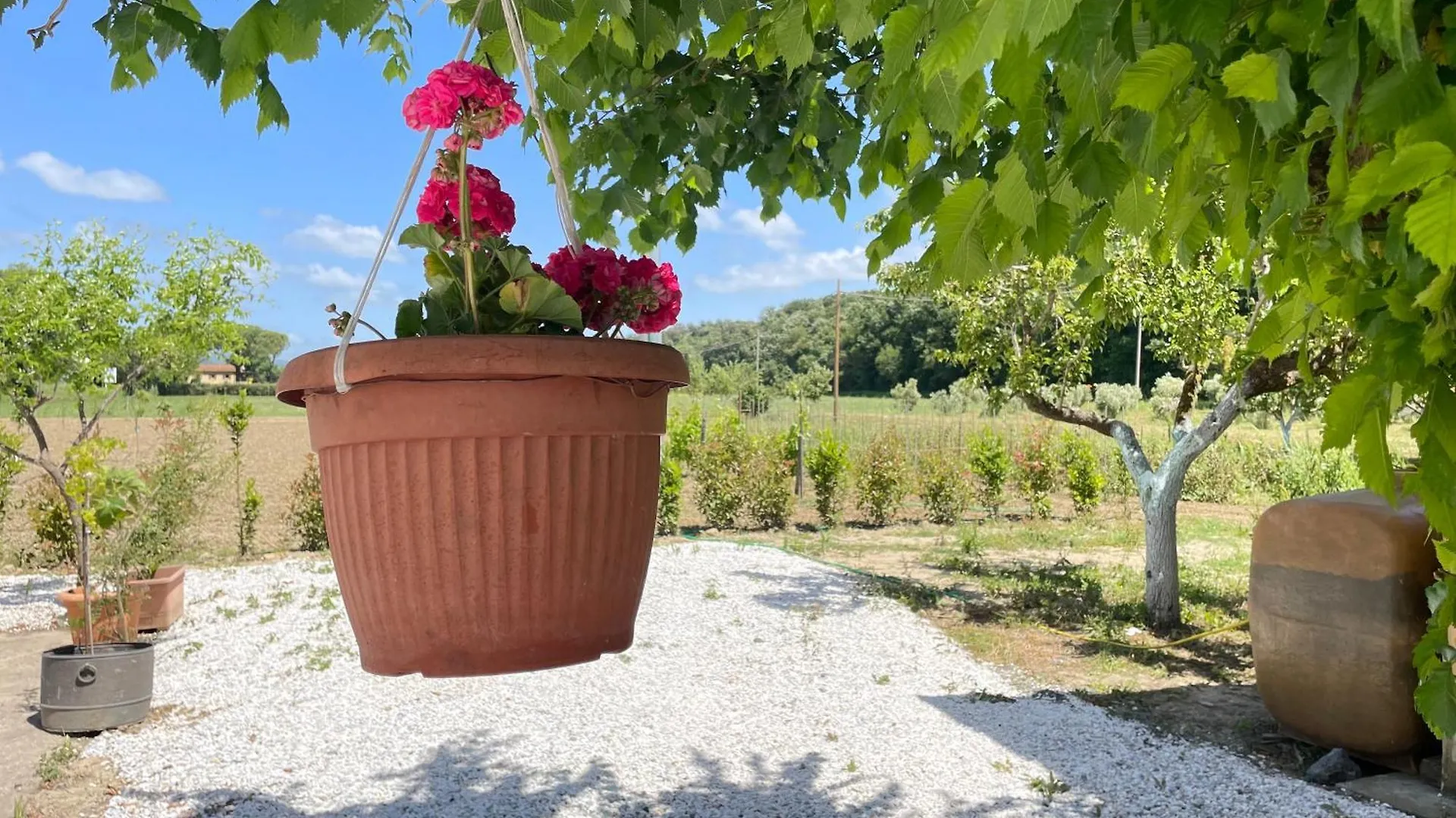 Il Leccio Agriturismo Fiorino
