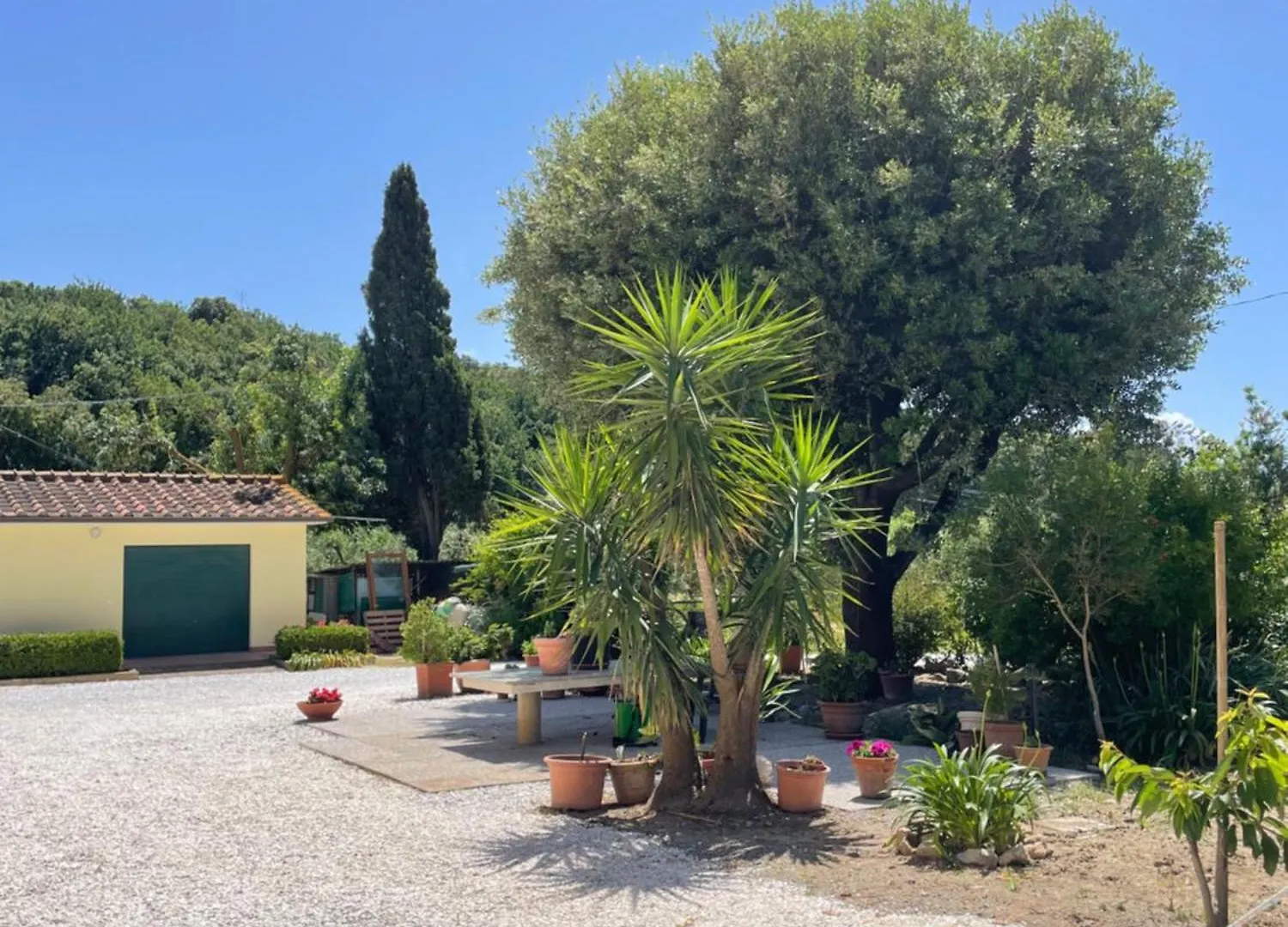 Il Leccio Agriturismo Fiorino Apartment